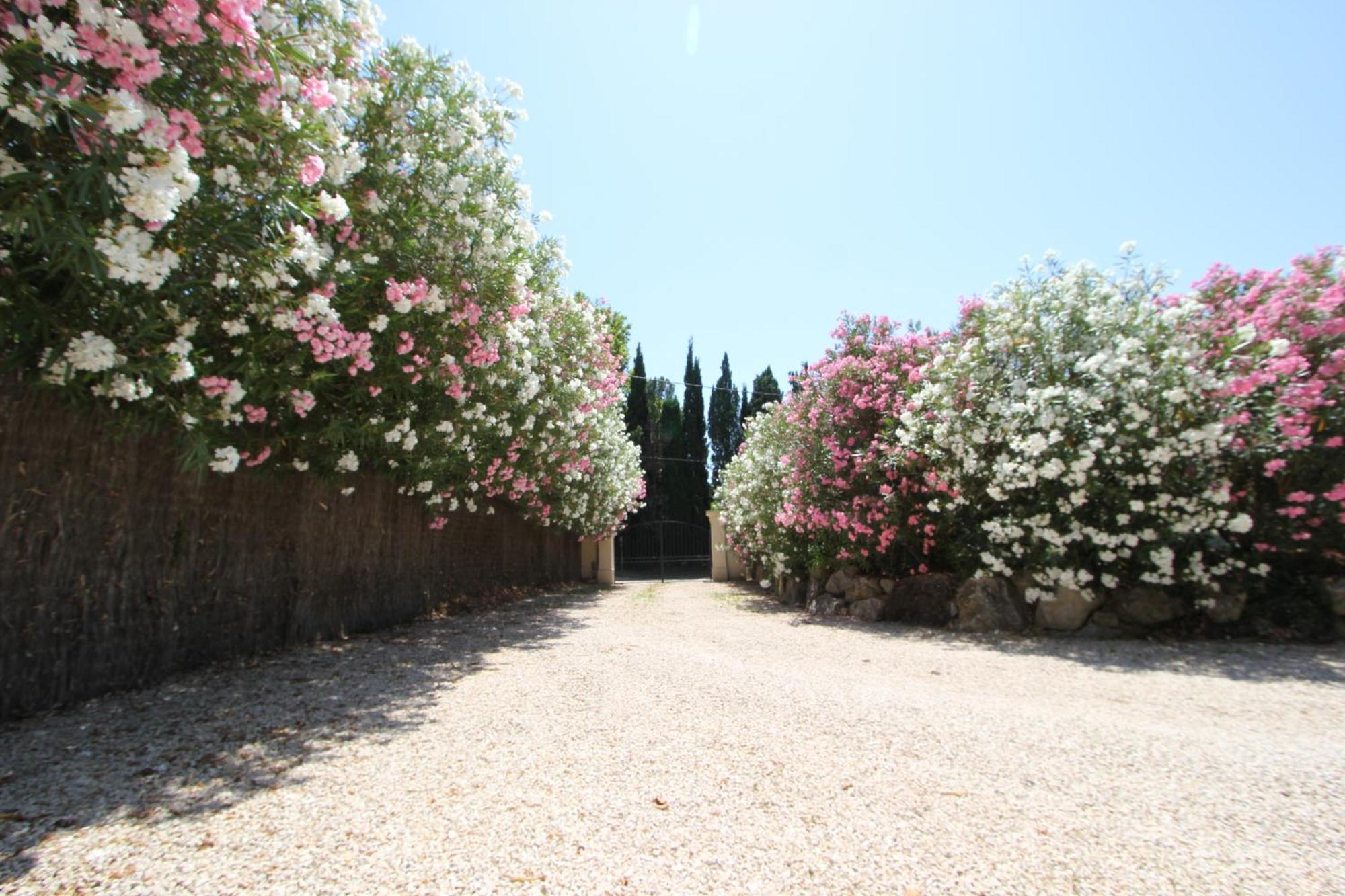 Mas Paloma Bed & Breakfast Rognonas Exterior photo