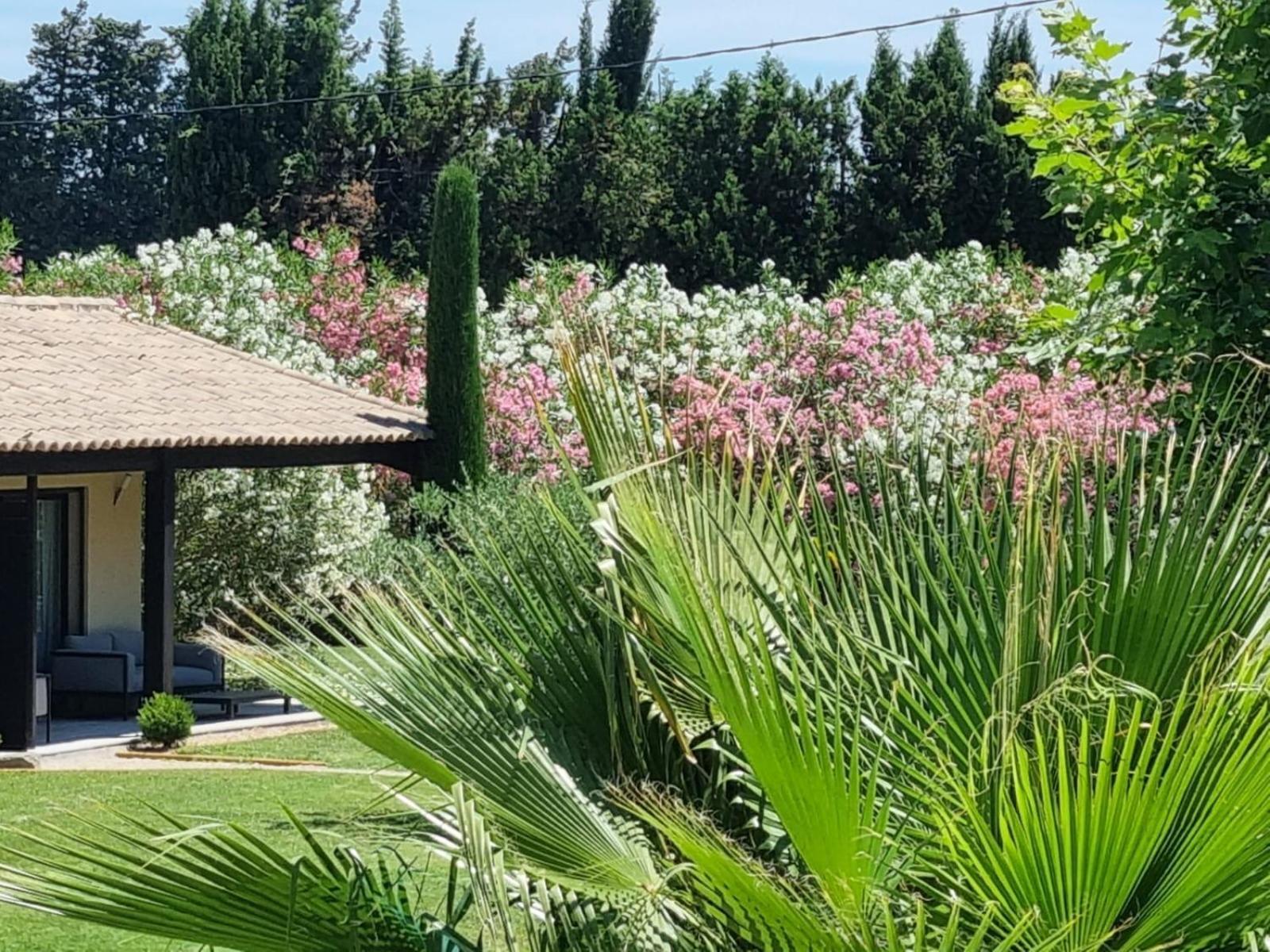 Mas Paloma Bed & Breakfast Rognonas Exterior photo