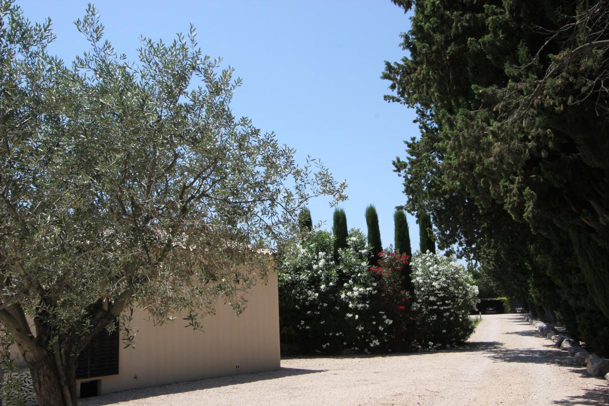 Mas Paloma Bed & Breakfast Rognonas Exterior photo